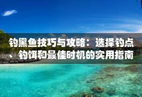 钓黑鱼技巧与攻略：选择钓点、钓饵和最佳时机的实用指南