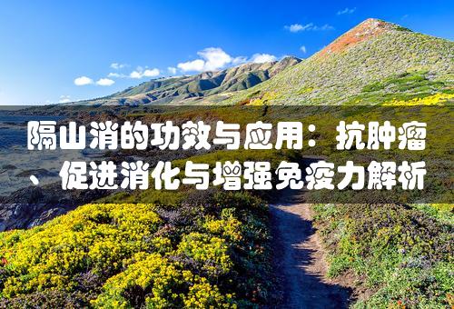 隔山消的功效与应用：抗肿瘤、促进消化与增强免疫力解析