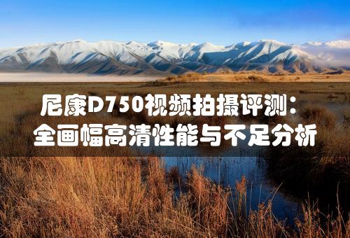 尼康D750视频拍摄评测：全画幅高清性能与不足分析