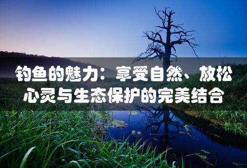 钓鱼的魅力：享受自然、放松心灵与生态保护的完美结合