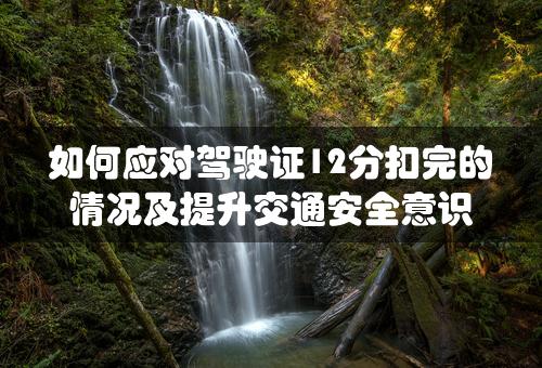 如何应对驾驶证12分扣完的情况及提升交通安全意识