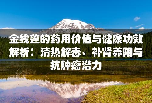 金线莲的药用价值与健康功效解析：清热解毒、补肾养阴与抗肿瘤潜力