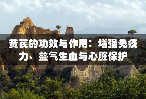 黄芪的功效与作用：增强免疫力、益气生血与心脏保护