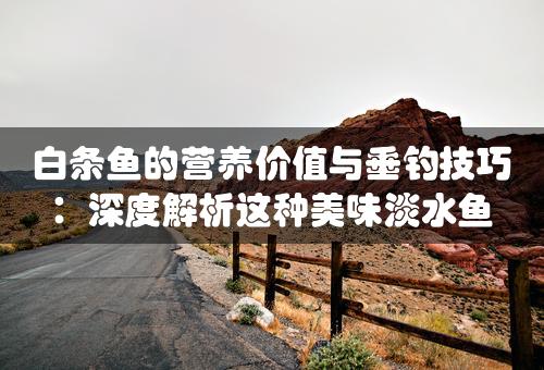 白条鱼的营养价值与垂钓技巧：深度解析这种美味淡水鱼