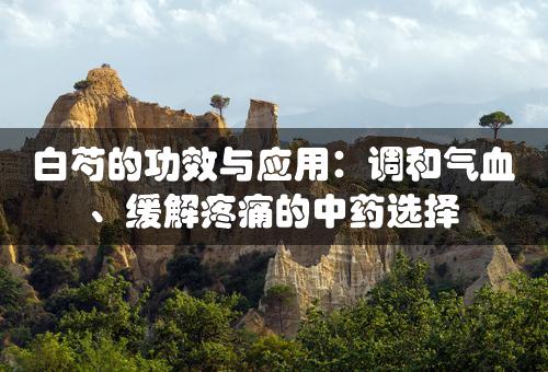 白芍的功效与应用：调和气血、缓解疼痛的中药选择