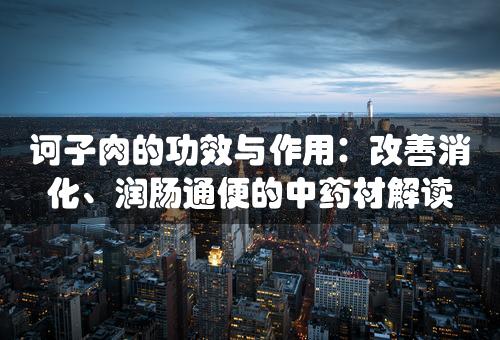 诃子肉的功效与作用：改善消化、润肠通便的中药材解读