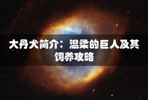 大丹犬简介：温柔的巨人及其饲养攻略