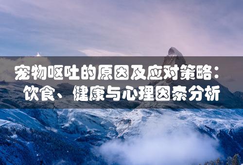 宠物呕吐的原因及应对策略：饮食、健康与心理因素分析