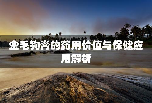 金毛狗脊的药用价值与保健应用解析