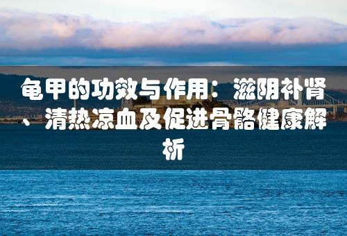 龟甲的功效与作用：滋阴补肾、清热凉血及促进骨骼健康解析