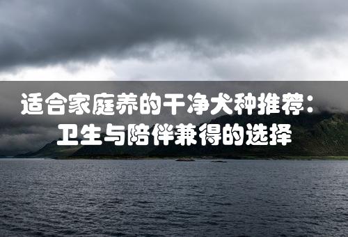 适合家庭养的干净犬种推荐：卫生与陪伴兼得的选择