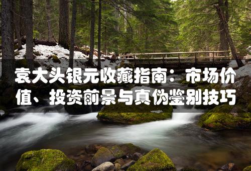 袁大头银元收藏指南：市场价值、投资前景与真伪鉴别技巧