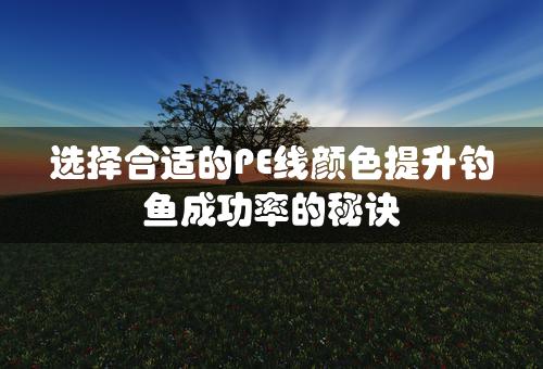 选择合适的PE线颜色提升钓鱼成功率的秘诀