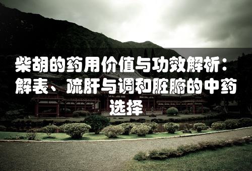 柴胡的药用价值与功效解析：解表、疏肝与调和脏腑的中药选择