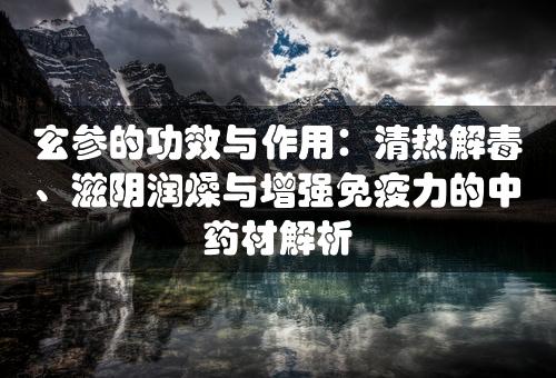 玄参的功效与作用：清热解毒、滋阴润燥与增强免疫力的中药材解析