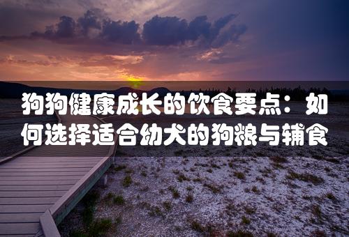 狗狗健康成长的饮食要点：如何选择适合幼犬的狗粮与辅食