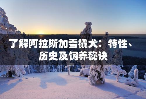 了解阿拉斯加雪橇犬：特性、历史及饲养秘诀