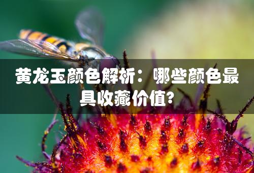 黄龙玉颜色解析：哪些颜色最具收藏价值?