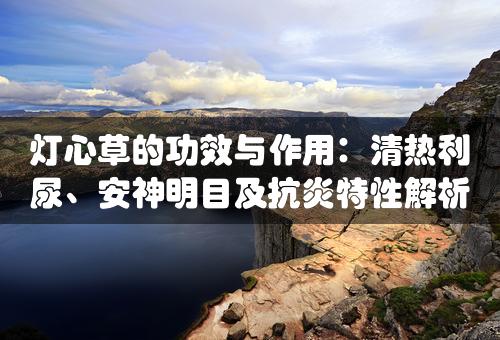 灯心草的功效与作用：清热利尿、安神明目及抗炎特性解析