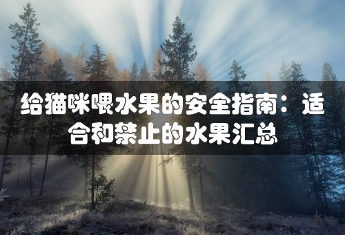 给猫咪喂水果的安全指南：适合和禁止的水果汇总