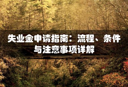 失业金申请指南：流程、条件与注意事项详解