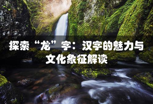 探索“龙”字：汉字的魅力与文化象征解读