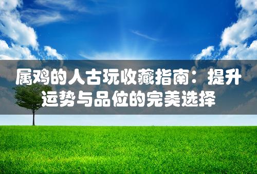 属鸡的人古玩收藏指南：提升运势与品位的完美选择