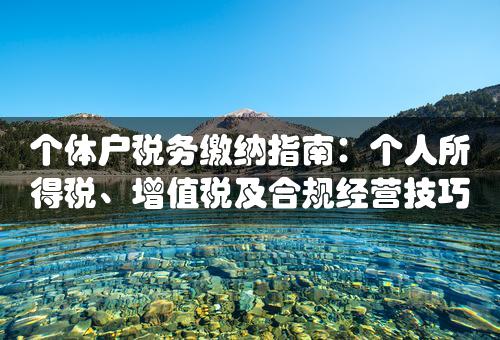 个体户税务缴纳指南：个人所得税、增值税及合规经营技巧