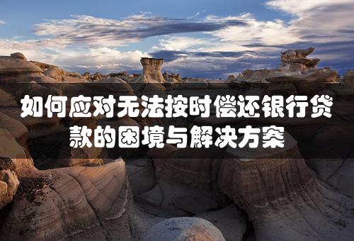 如何应对无法按时偿还银行贷款的困境与解决方案