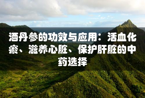 酒丹参的功效与应用：活血化瘀、滋养心脏、保护肝脏的中药选择