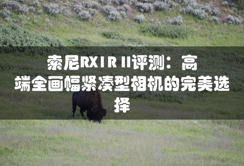 索尼RX1R II评测：高端全画幅紧凑型相机的完美选择