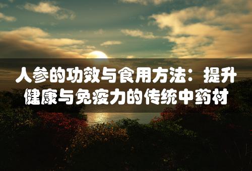 人参的功效与食用方法：提升健康与免疫力的传统中药材