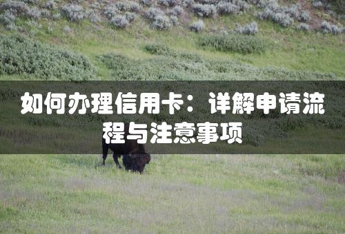 如何办理信用卡：详解申请流程与注意事项