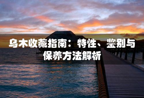 乌木收藏指南：特性、鉴别与保养方法解析