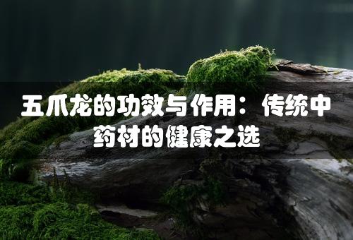 五爪龙的功效与作用：传统中药材的健康之选