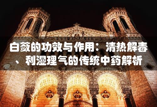 白蔹的功效与作用：清热解毒、利湿理气的传统中药解析