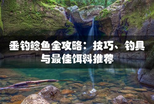 垂钓鲶鱼全攻略：技巧、钓具与最佳饵料推荐