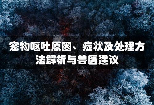 宠物呕吐原因、症状及处理方法解析与兽医建议