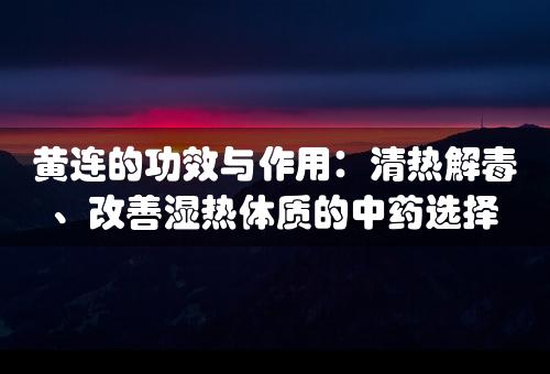 黄连的功效与作用：清热解毒、改善湿热体质的中药选择