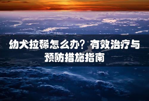 幼犬拉稀怎么办？有效治疗与预防措施指南