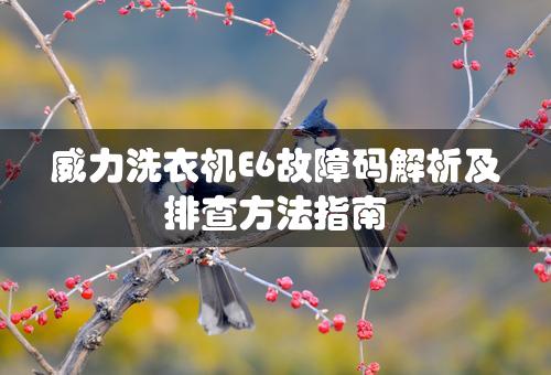 威力洗衣机E6故障码解析及排查方法指南