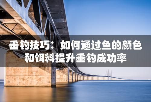 垂钓技巧：如何通过鱼的颜色和饵料提升垂钓成功率