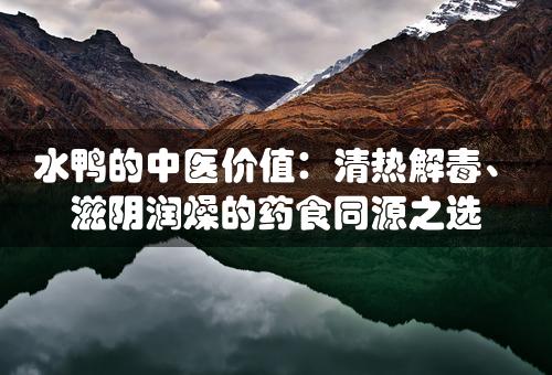 水鸭的中医价值：清热解毒、滋阴润燥的药食同源之选