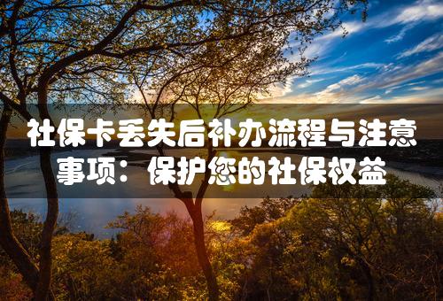 社保卡丢失后补办流程与注意事项：保护您的社保权益