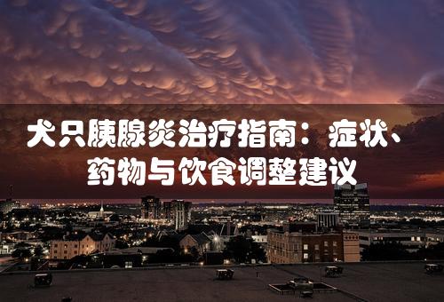 犬只胰腺炎治疗指南：症状、药物与饮食调整建议