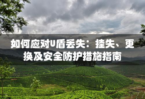 如何应对U盾丢失：挂失、更换及安全防护措施指南