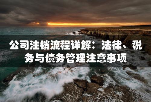 公司注销流程详解：法律、税务与债务管理注意事项