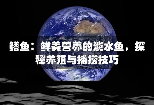 鳝鱼：鲜美营养的淡水鱼，探秘养殖与捕捞技巧