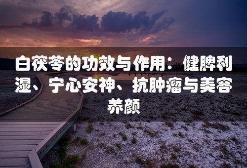 白茯苓的功效与作用：健脾利湿、宁心安神、抗肿瘤与美容养颜