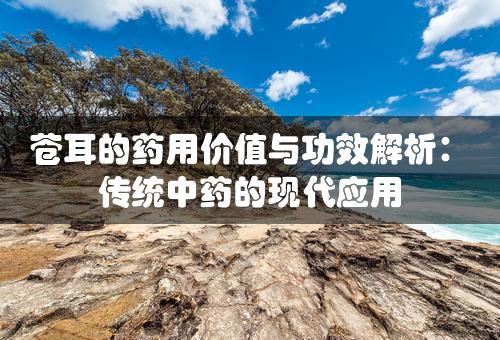 苍耳的药用价值与功效解析：传统中药的现代应用